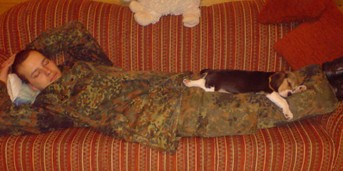 Beaglewelpe Alicia schläft mit ihrem Herrchen auf dem Sofa